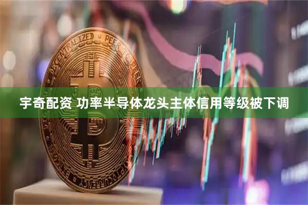 宇奇配资 功率半导体龙头主体信用等级被下调