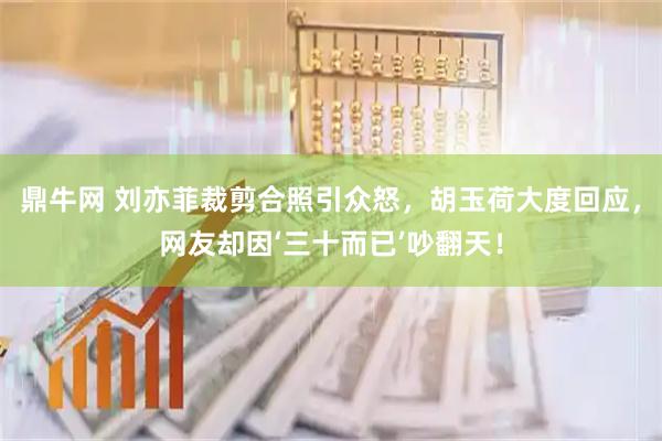 鼎牛网 刘亦菲裁剪合照引众怒，胡玉荷大度回应，网友却因‘三十而已’吵翻天！